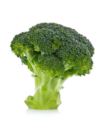 Broccoli on white backgroundの写真素材