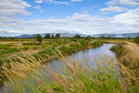 Irrigation canal in paddy farmland