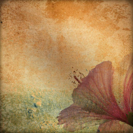 Grunge background with hibiscus flowerの写真素材