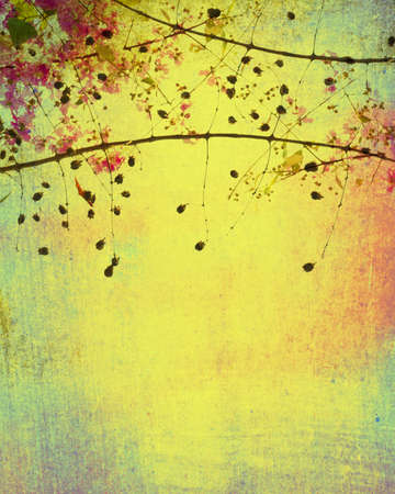 Bougainvilleas flowers on painted wood backgroundの写真素材