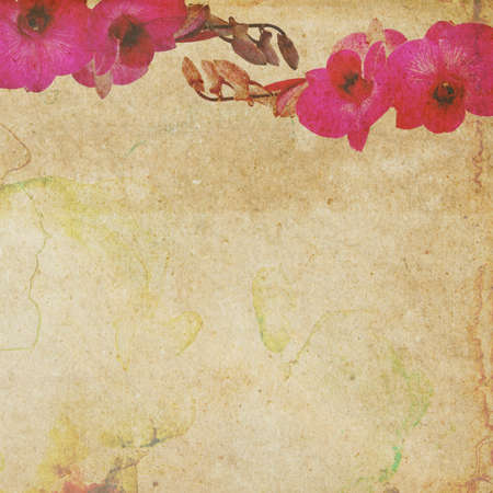 Grunge background, pink orchid on old paperの写真素材