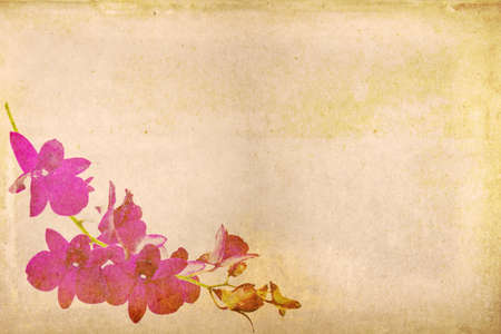 Grunge background, orchid on aged  paperの写真素材