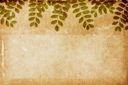 Lovely leaves on aged paperの写真素材