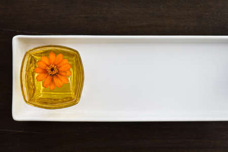 Decorative Zinnia glass vase backgroundの写真素材