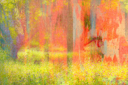 Abstract background of woods and field, painting on canvasの写真素材