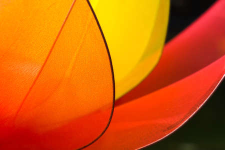 Abstract background of artificial flower, closeup shotの写真素材