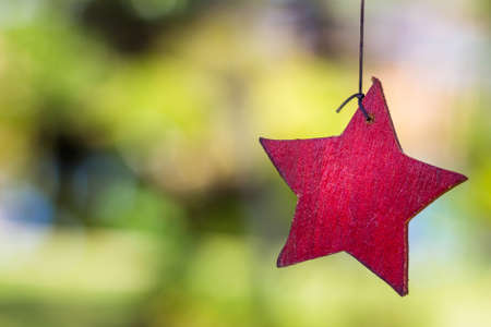 Hanged wood star decorated in the gardenの写真素材