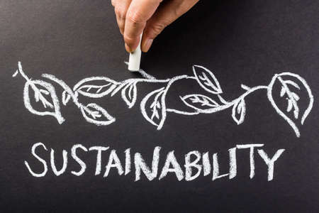 Hand drawing leaves over Sustainability word topicの写真素材