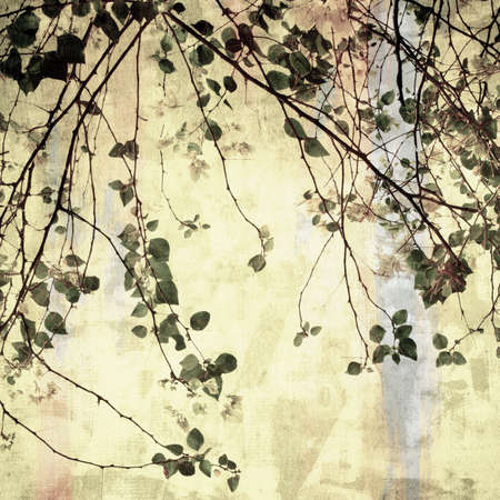 Treetop on faded yellow background, retro and vintage styleの写真素材