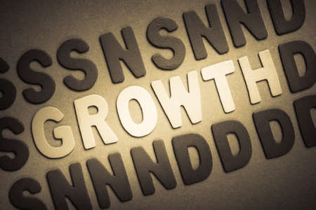 Growth word in wood letter