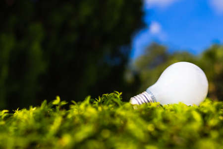 Low angle shot of light bulb on grassesの写真素材