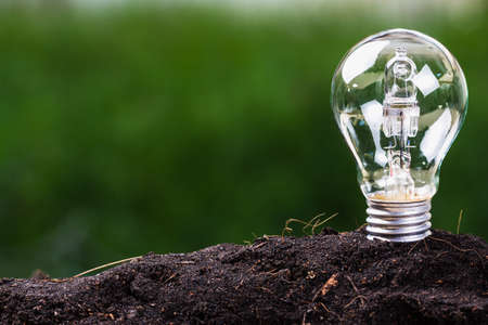 Light bulb plant in soil as idea or energy conceptの写真素材