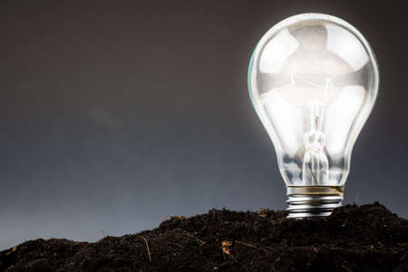 Light bulb plant in soil as idea or energy conceptの写真素材