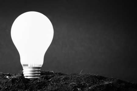 Light bulb plant in soil as idea or energy conceptの写真素材