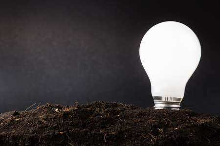 Light bulb plant in soil as idea or energy concept