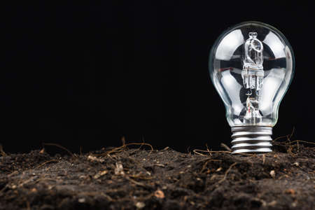 Light bulb glowing in soilの写真素材