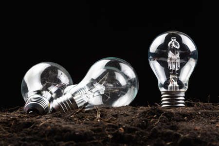 Light bulb glowing in soilの写真素材