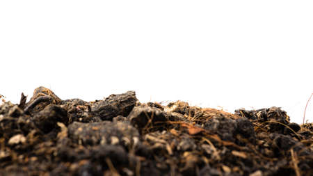 Closeup clay as fundamental of living thing isolated on whiteの写真素材