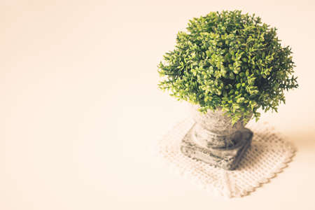 Artificial plant for decoration on white table, retro color style