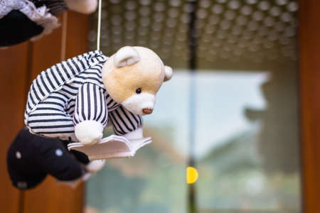 Decorative hanged bear doll reading bookの写真素材