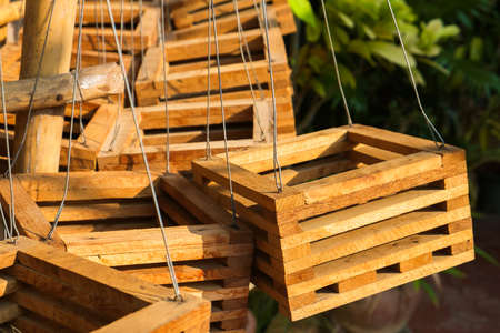 Closeup wood basket hanged pot for orchid plantの写真素材