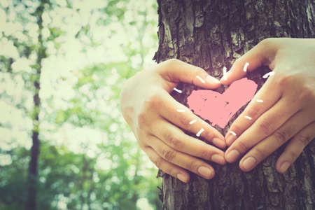 Hands make a heart sign on tree trunk with drawing heart, retro color styleの写真素材