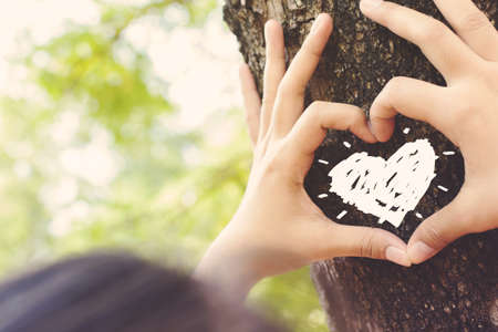 Hands make a heart sign on tree trunk with drawing heart, retro color styleの写真素材