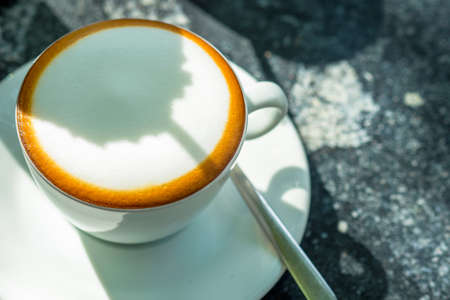 Cappuccino cup in morning sunlightの写真素材