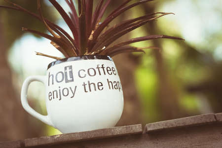 Decorated plant in white cup as a vase on the tableの写真素材