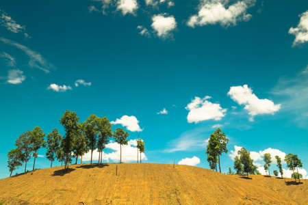 Soil mountain with less trees left in countryside of Thailand, retro colorの写真素材
