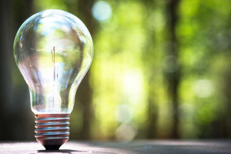 Standing light bulb on the ground with blurred green forest on backgroundの写真素材