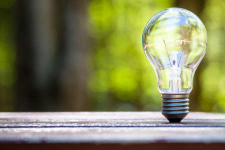 Standing light bulb on the ground with blurred green forest on background
