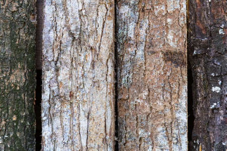 Abstract plank wall with rough texture