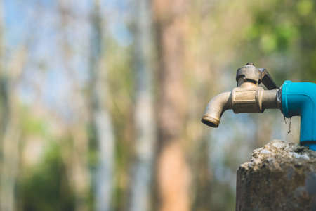Old faucet in the forestの写真素材