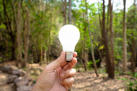 Hand holding light bulb in the forest, sustainable development or idea for nature conceptの写真素材