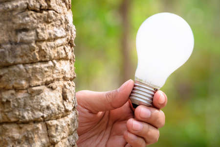 Hand show light bulb behind tree trunk, sustainable development or idea for nature conceptの写真素材