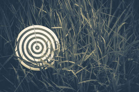 Find target in the grasses, vintage colorの写真素材