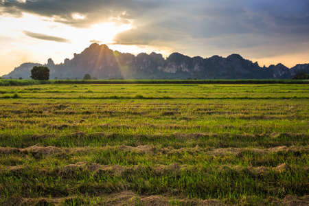 Landscape of rice farm after harvest with sunset behind limestone mountainの写真素材