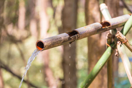 Bamboo pipeline in the forest, mountain water resourceの写真素材
