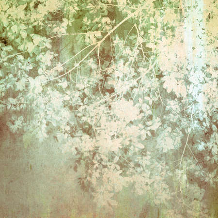 Old painting with treetop on canvas textureの写真素材