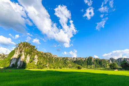 Limestone mountain range and rice field under blue sky at Noen Maprang district, Phitsanulok, Thailandの写真素材