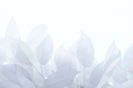 Artificial leaves for decoration isolated on white background