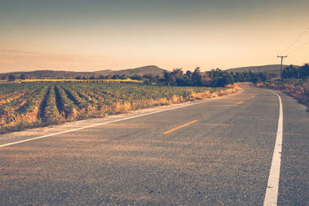 Road along the farm in countryside of Thailand, vintage colorの写真素材