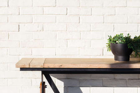 Abstract decorated plant and table on brick wallの写真素材
