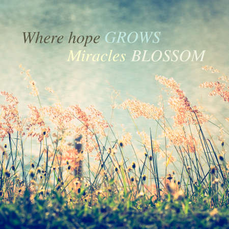 Inspireation quote (Where hope grows Miracles blossom) on vintage photo, grass flowers blooming on river bankの写真素材