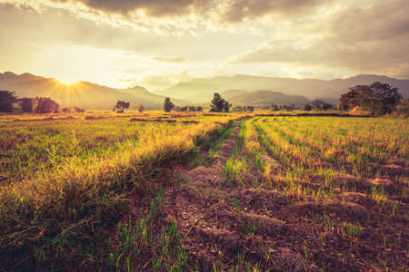 Vintage photo of field after harvest with sunset over the mountainの写真素材