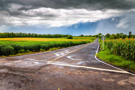 Country road through the farm under cloudy sky and rain storm, rainy season in Thailandの写真素材