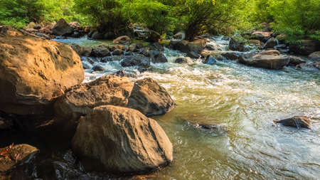 Creek in the tropical rainforest, Khek river in Phitsanulok province of Thailandの写真素材