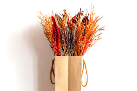 Bunch of colorful dry rice spike in brown bag on white wall, home ornamental objectの写真素材