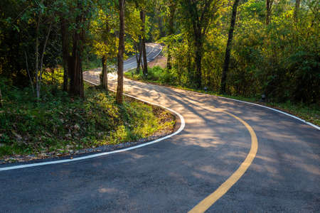 Curve road in the tropical forest before sunset at Thung Salaeng Luang National Park, Phitsanulok,...